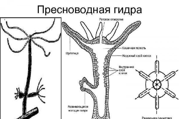 Кракен площадка kraken clear com